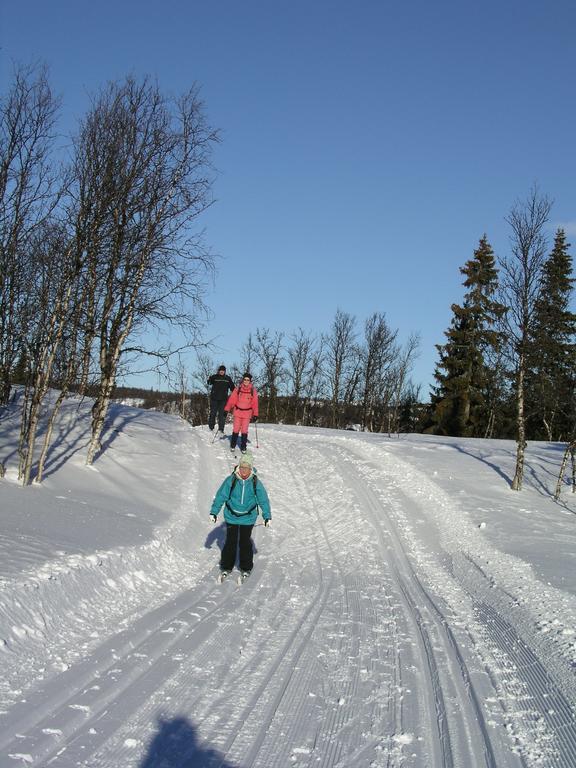 Birkelund Camping Geilo Exterior photo